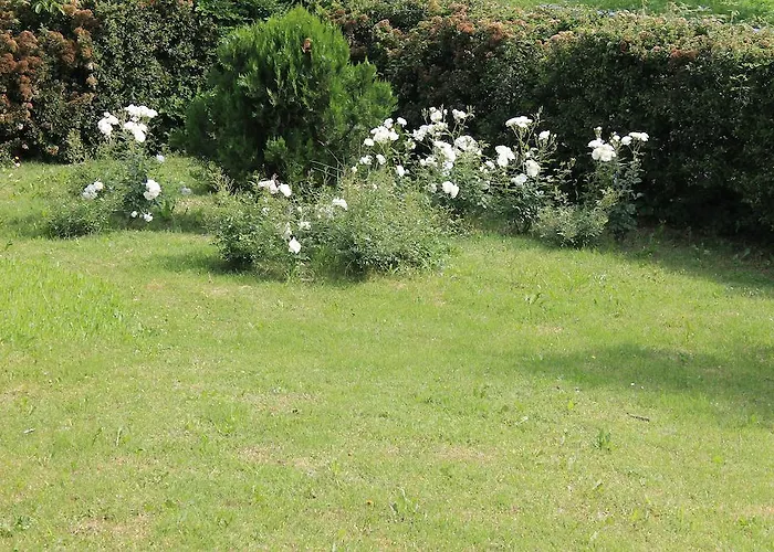 B&B Al Glicine Bed & Breakfast Langhirano