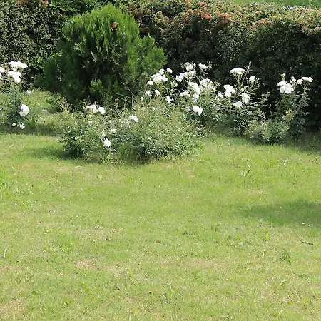 Al Glicine Bed & Breakfast Langhirano